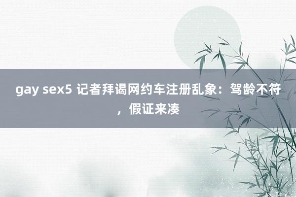 gay sex5 记者拜谒网约车注册乱象：驾龄不符，假证来凑